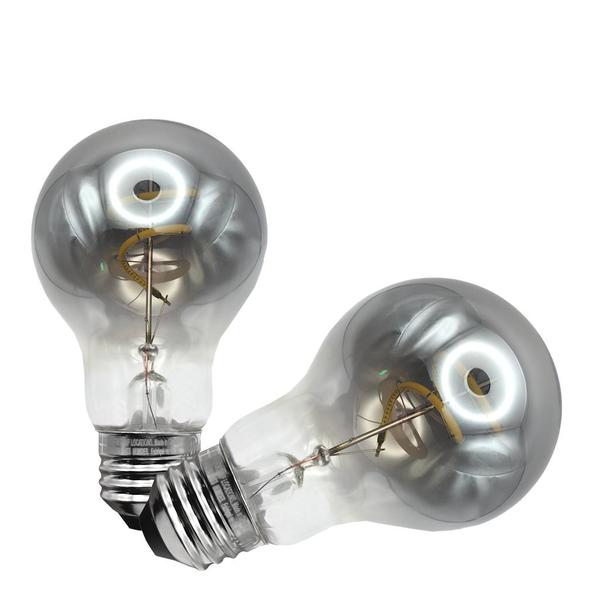  2.5 watt 120 volt A19 Medium Screw Base 5000K Daylight Smokey Glass LED Light Bulb (2 Pack)