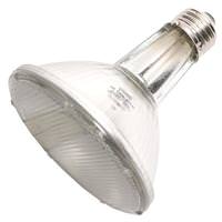 Ushio 38 watt 120 volt PAR30 Medium Screw Base 2900K Warm White Flood