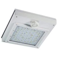 Venture 12" 54 watt 120/277 volt 5000K Daylight White LED Garage Light