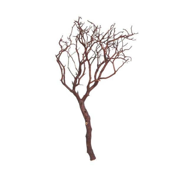 24" Natural Manzanita Tree Branch Preserved Foliage Bundle
