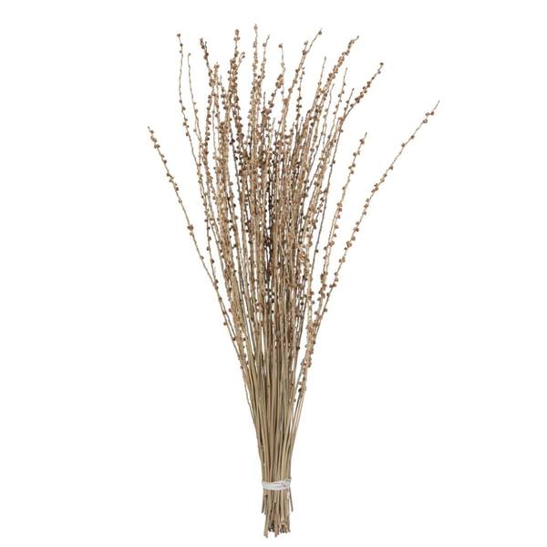36-38" Natural Deglet Nour Branch Branches Preserved Foliage Bundle