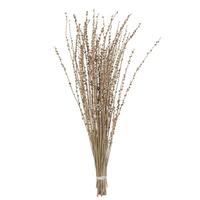 Vickerman 36-38" Natural Deglet Nour Branch Branches Preserved Foliage Bundle
