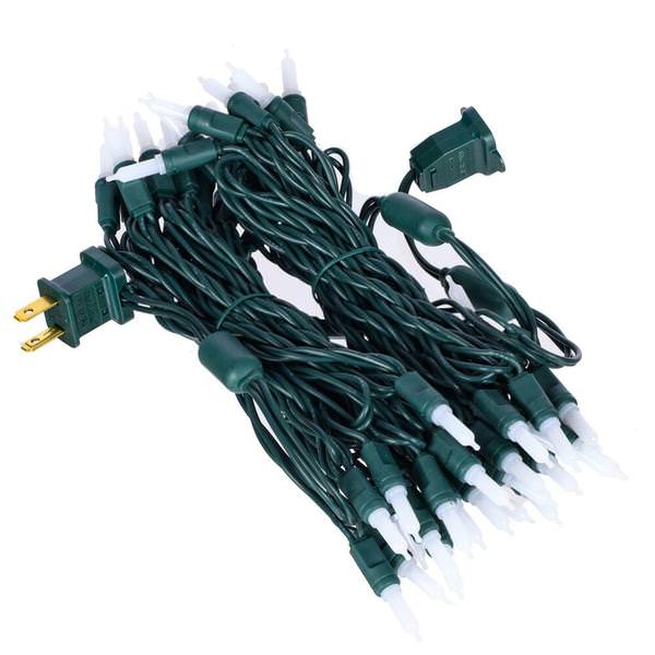 25' 50 Light Warm White Frosted LED Christmas Light Set