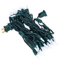 Vickerman 25' 50 Light Warm White Frosted LED Christmas Light Set