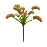 Vickerman 12" Artificial Green Venus Flytrap Plant 