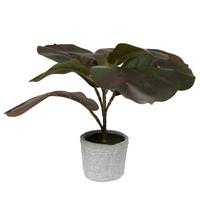 Vickerman 11" Artificial Red and Green Fiddle Leaf Fig Plant in Pot