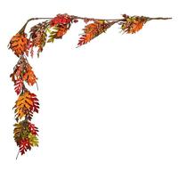 Vickerman 5' Artificial Oak Leaf Acorn Berry Garland