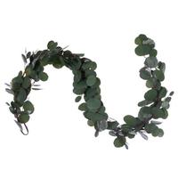 Vickerman 5' Artificial Green Silver Dollar Populus Eucalyptus Garland