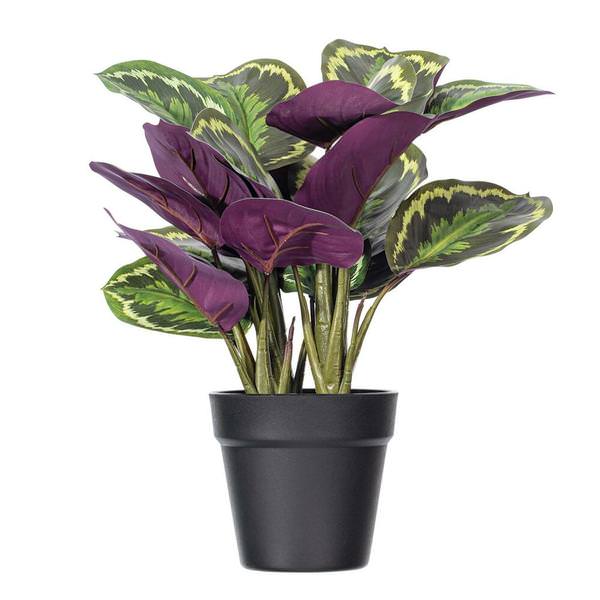 16" Artificial Calathea Veitchiana Potted Plant