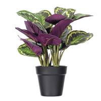 View 16" Artificial Calathea Veitchiana Potted Plant