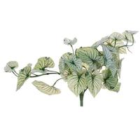 Vickerman 15" Artificial Variegated Leaves Light Green Hanging Vine 
