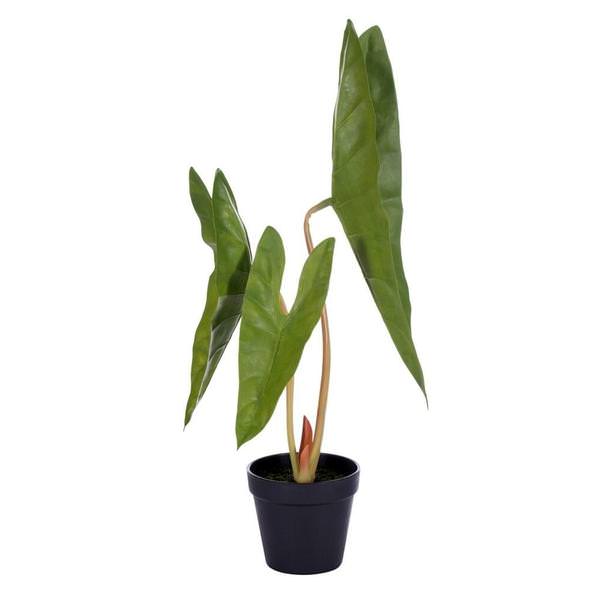 20" x 9" Artificial Alocasia Aequiloba Potted Plant