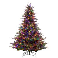 Vickerman 9' x 78" Bellevue Fraser Fir 1200 LED Light Pre-Lit Artificial Christmas Tree