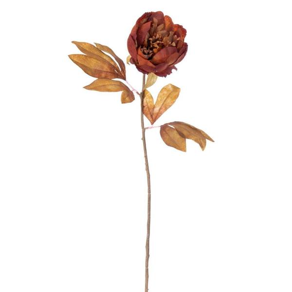 21" Dark Brown Peony Stem (6 Pack)