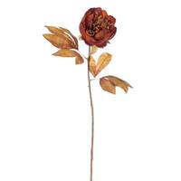 View 21" Dark Brown Peony Stem (6 Pack)