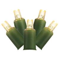 Vickerman 23' - 70 Light Warm White Green Wire LED Light Set