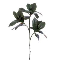 Vickerman 35" Green Magnolia Branch Artificial Spray (3 Pack)