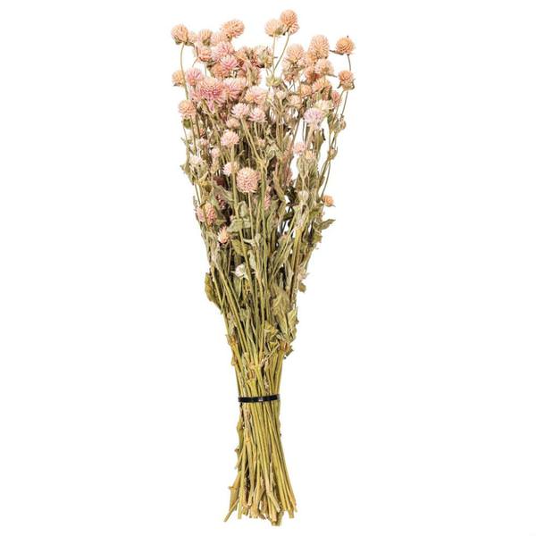 17-19" Mauve Globe Amaranth Natural Botanicals Preserved Flower Bundle