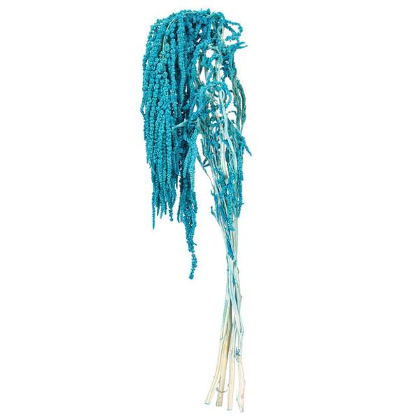 16-20" Blue Amaranthus Natural Preserved Flower Bundle