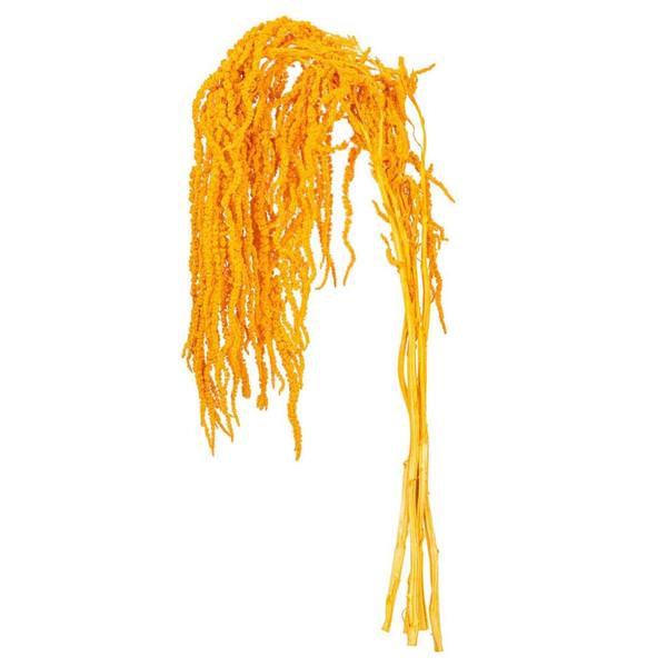 16-20" Orange Amaranthus Natural Preserved Flower Bundle