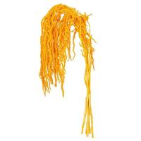 Vickerman 16-20" Orange Amaranthus Natural Preserved Flower Bundle