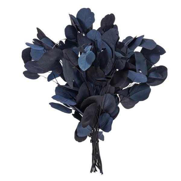 18-20" Dark Blue Populous Eucalyptus Natural Preserved Foliage 