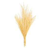 Vickerman 18" Bleached Stoebe Natural Preserved Foliage 