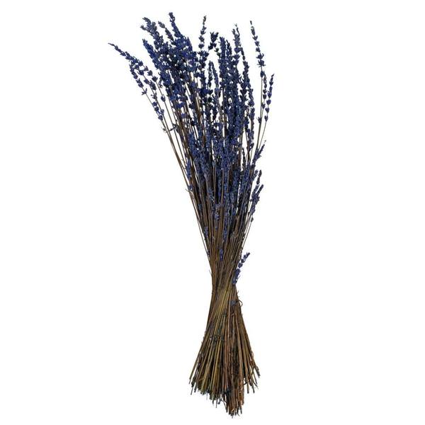 20" Purple Lavender  Natural Preserved Flower Bundle