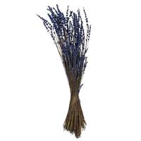 Vickerman 20" Purple Lavender  Natural Preserved Flower Bundle