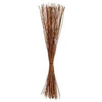 Vickerman 30" Fern Reed Preserved Foliage Bundle