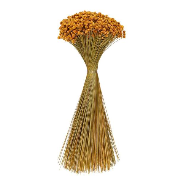 20" Hil Flower Natural Preserved Flower Bundle