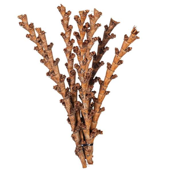 18" Natural Brown Buriti Twig Preserved Foliage Bundle (18 Pack)