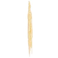 Vickerman 31" Bleached Hanging Amaranthus Natural Preserved Flower Bundle