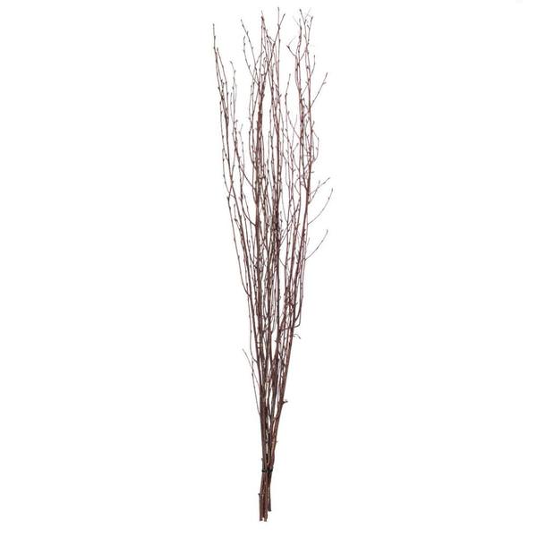 45" Natural Brown Birch Twig Preserved Foliage Bundle(6 Pack)
