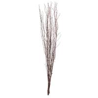 Vickerman 45" Natural Brown Birch Twig Preserved Foliage Bundle(6 Pack)