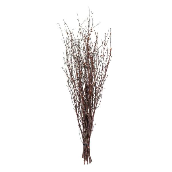 24" Natural Brown Birch Twig Preserved Foliage Bundle (6 Pack)