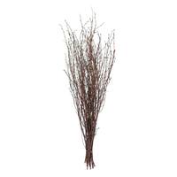 Vickerman 24" Natural Brown Birch Twig Preserved Foliage Bundle (6 Pack)