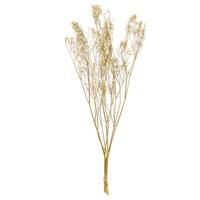 Vickerman 24" White Gypsophila Baby's Breath Natural Preserved Flower Bundle