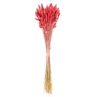 Vickerman 24" Pink Bunny Tail Lagurus Dried Foliage