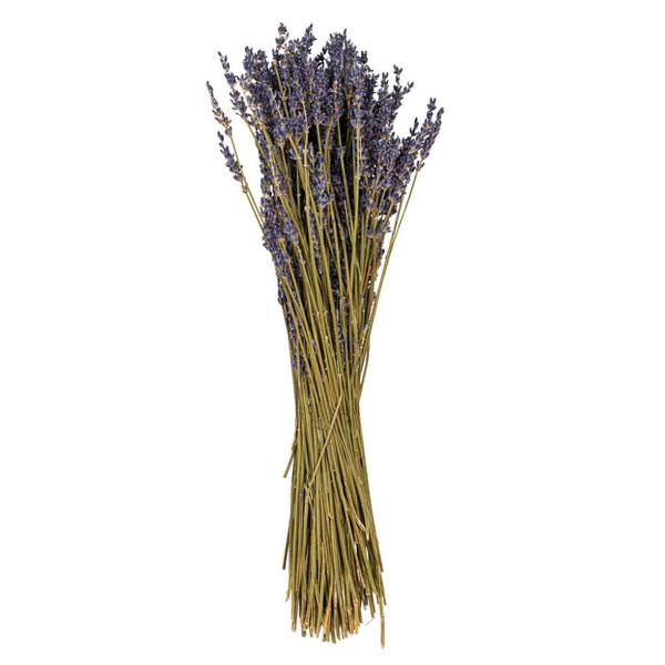 18" Light Purple Lavender Natural Preserved Flower Bundle