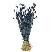 View 26" Dark Blue Phalaris Dried Foliage
