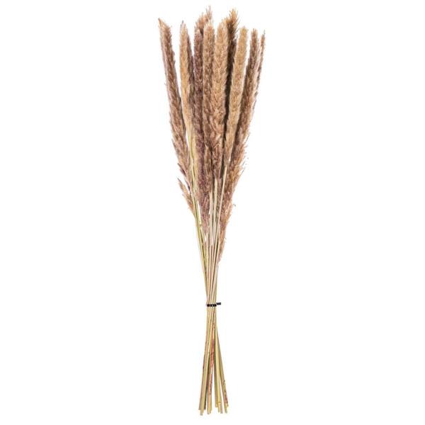 30" Brown Reed Preserved Foliage Bundle