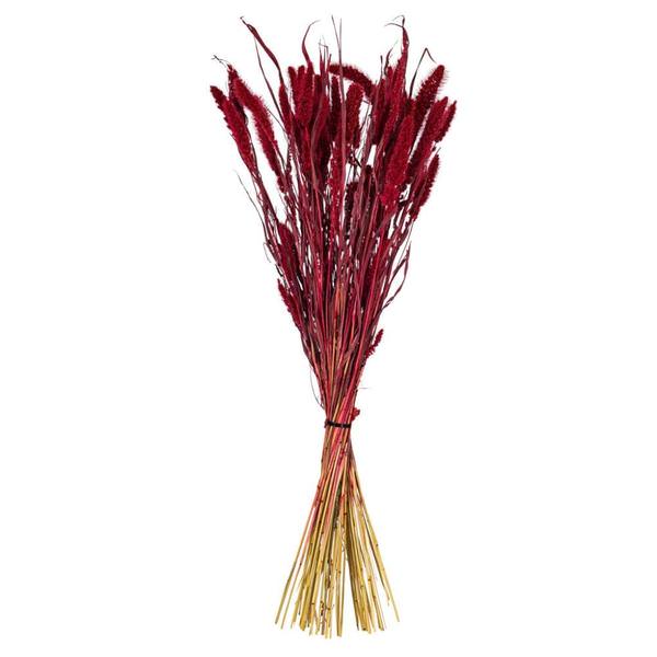 26" Red Setarea Dried Foliage