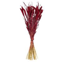 Vickerman 26" Red Setarea Dried Foliage