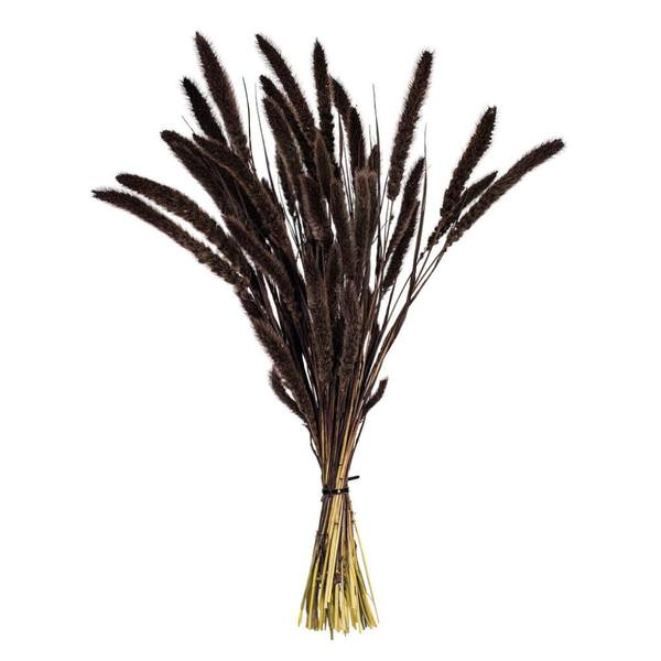 24" Brown Setarea Dried Foliage