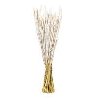Vickerman 26" White Washed Wheat Tarwe Triticum Dried Foliage