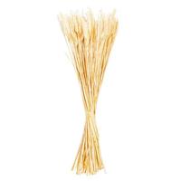 Vickerman 26" Bleached Wheat Tarwe Triticum Dried Foliage