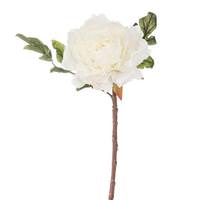 Vickerman 16.5" Cream Peony Stem (3 Pack)