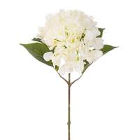 Vickerman 20" Cream Hydrangea Stem (2 Pack)