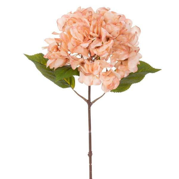 20" Coffee Hydrangea Stem (2 Pack)